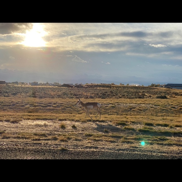 Meet your Posher, Helen - Picture 1 of 1